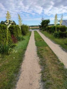 Wjazd do Janiszówki