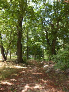 Park przy szkole w Burcu