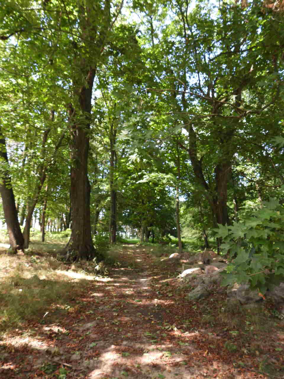 Park przy szkole w Burcu