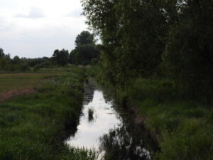 Rzeka Mała Bystrzyca