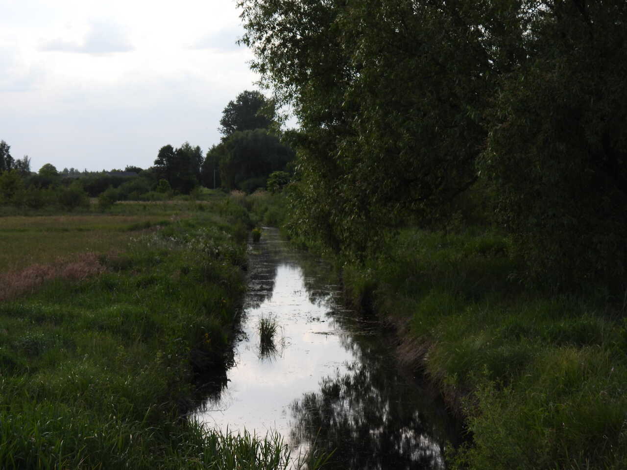 Rzeka Mała Bystrzyca