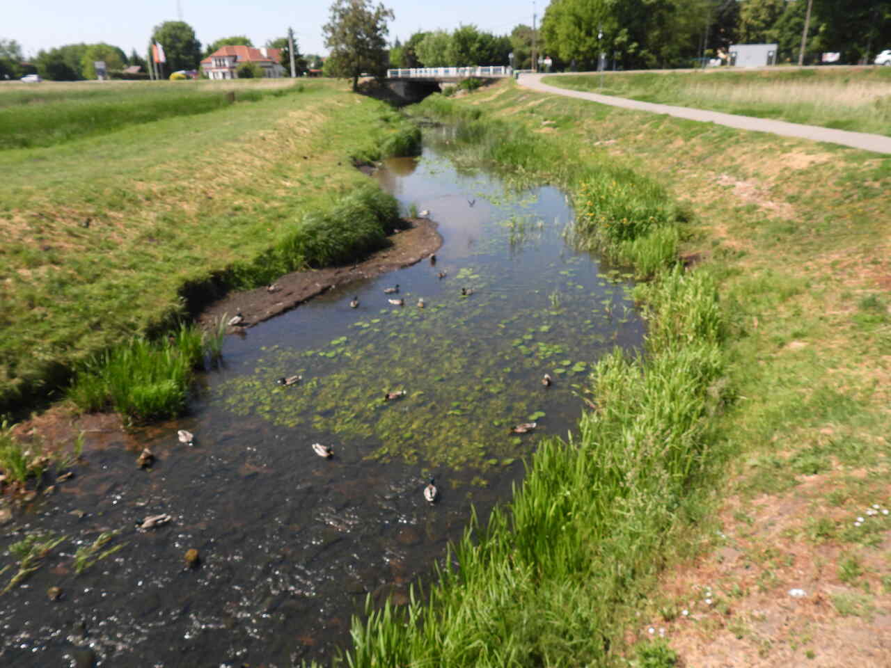 Rzeka Białka i trasa pieszo-rowerowa