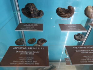 Łuków atrakcje turystyczne