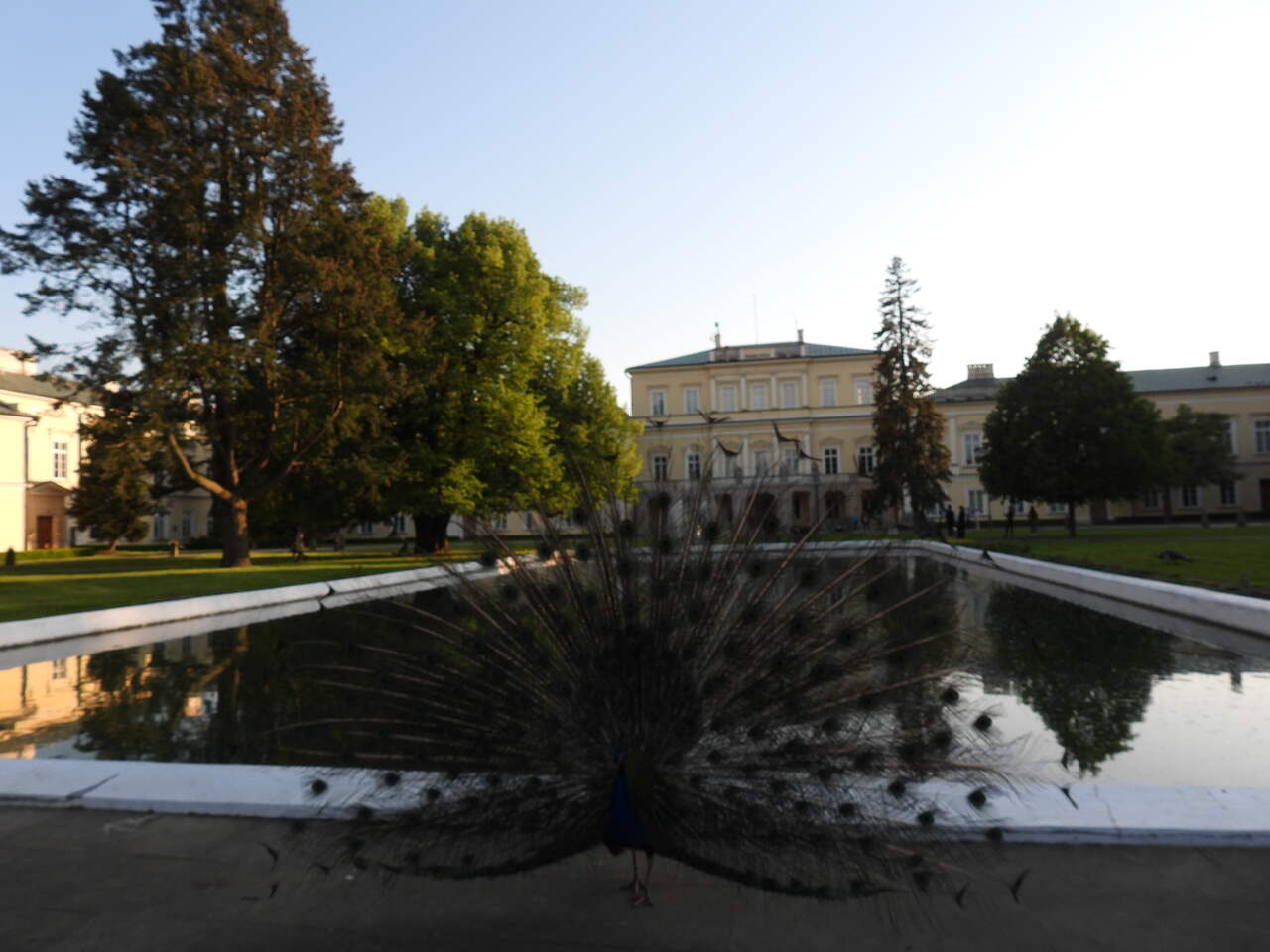 Pałac i Muzeum Czartoryskich